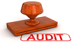 Audit